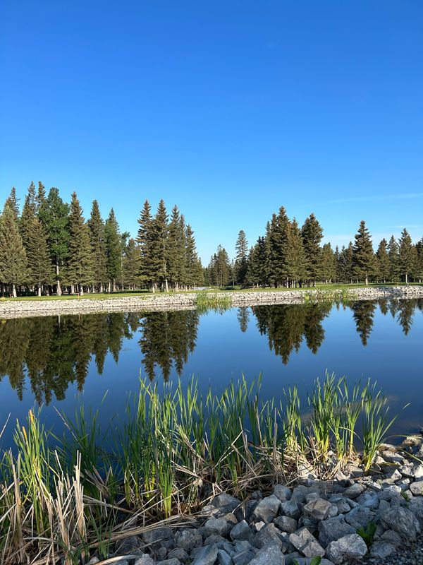 Silver Membership - Silver Member