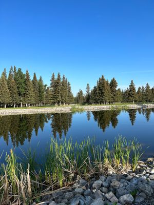 Silver Membership - Silver Member