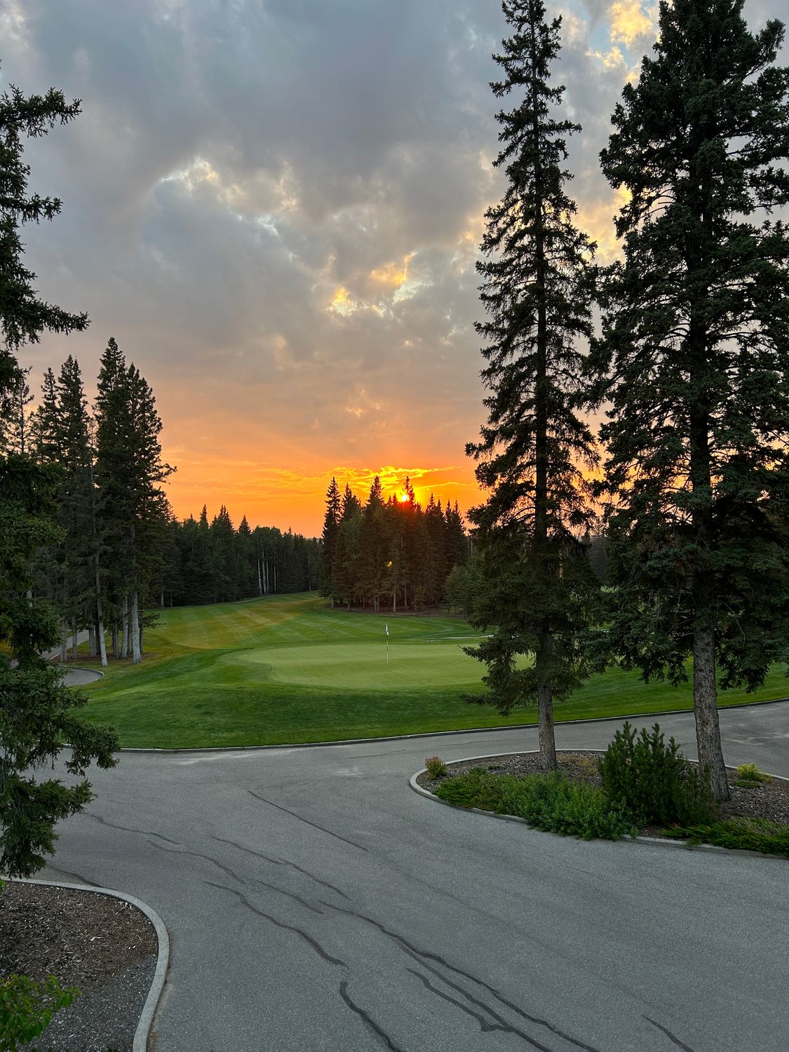 Intermediate Membership (19-30) - Intermediate Member