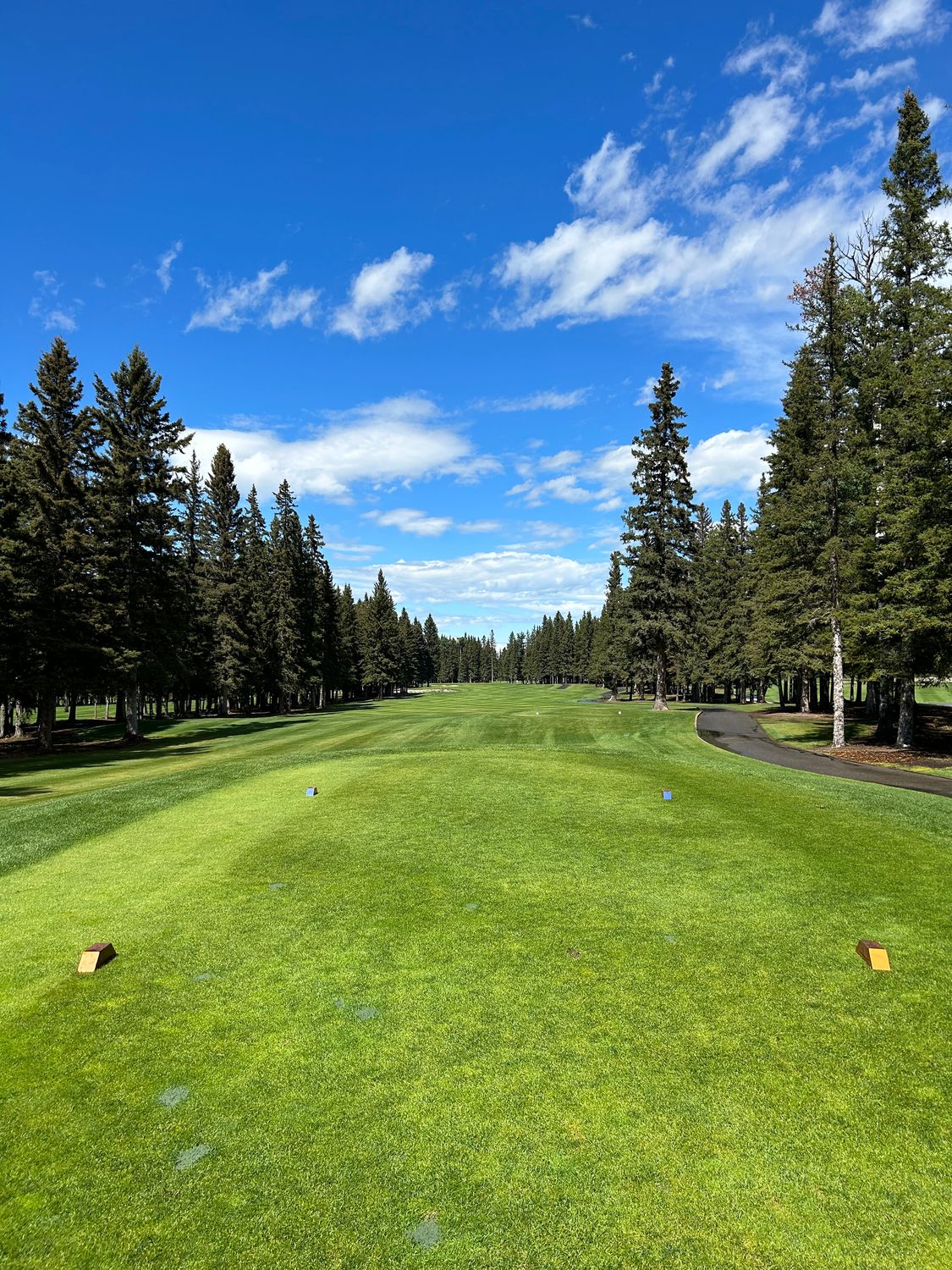 Gold Membership - Gold Member