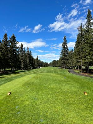 Gold Membership - Gold Member