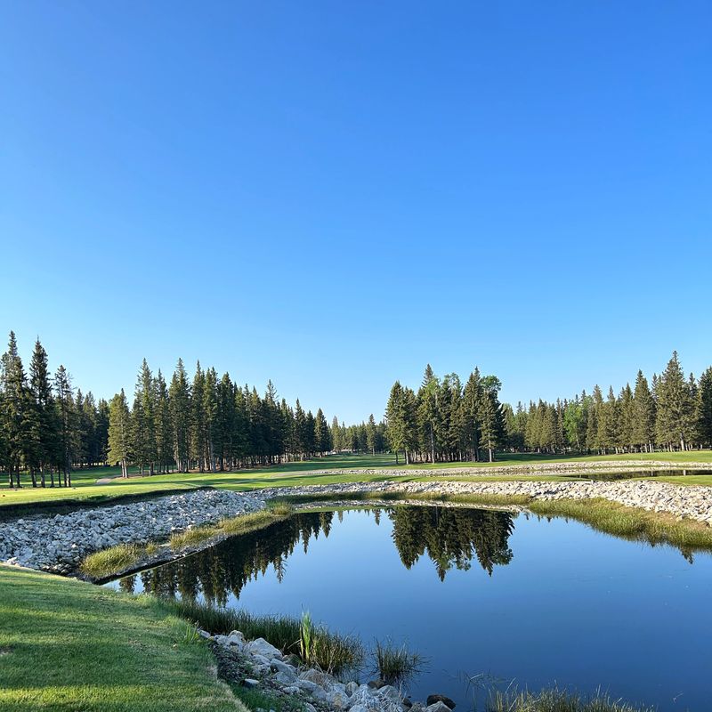 Junior Membership (8-18) - Junior Member