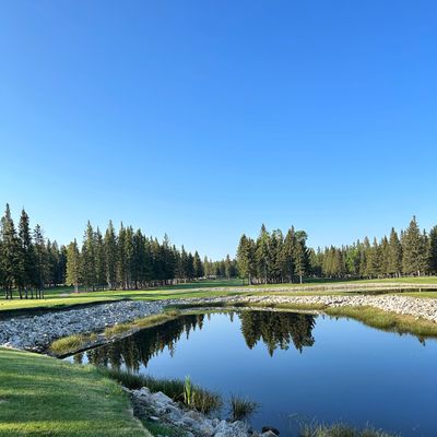 Junior Membership (8-18) - Junior Member