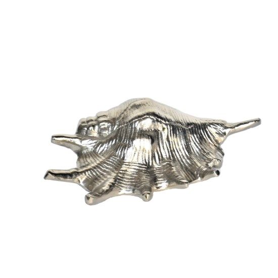CVDEN059 Coastal Shell I