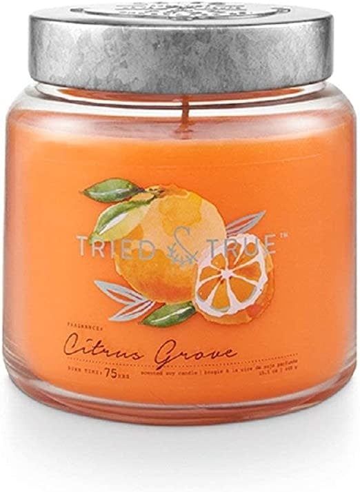 18436001000 Tried &amp; True Citrus Grove Large Jar Candle