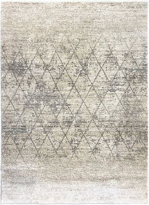 NEV-NEV4562 5X8 Niko Beige Rug