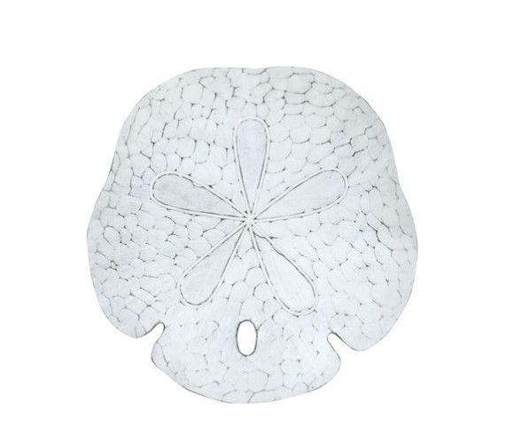 CW133 White Wash Sand Dollar