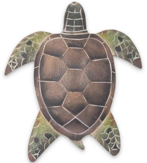 C197B Small Green Sea Turtle Wall 7 x 6 x 2”