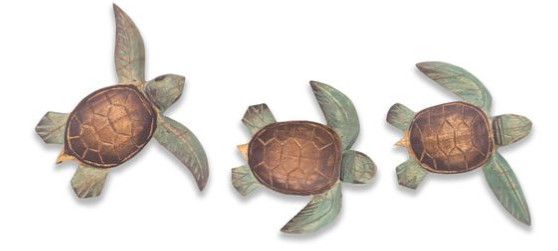 C833 Baby Turtles