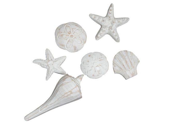 C270 Assorted Antique Shells in Bag