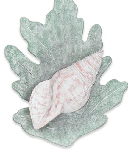 C112 Reef Turban Shell Seafoam
