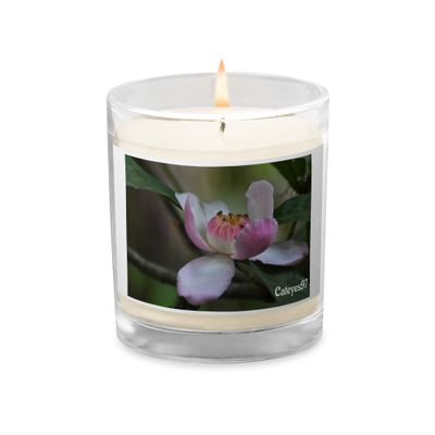 Bougie Orchidée