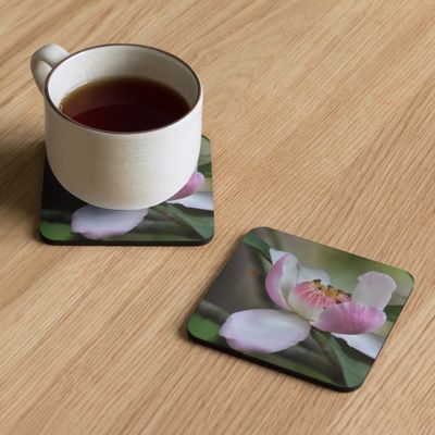 Sous-verres 00090 