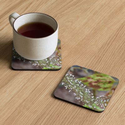 Sous-verres 00093