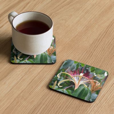 Sous-verres 00118 