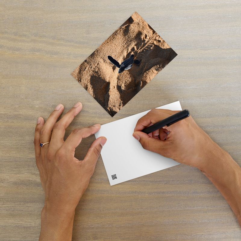 Carte postale 00136 