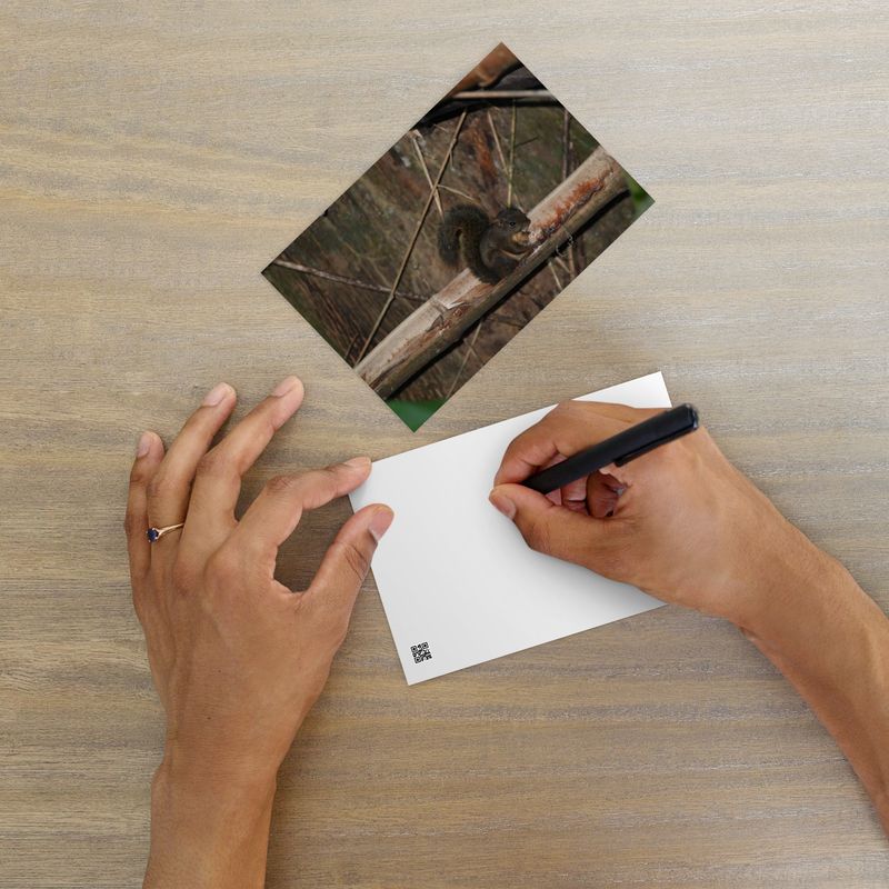 Carte postale 00159 