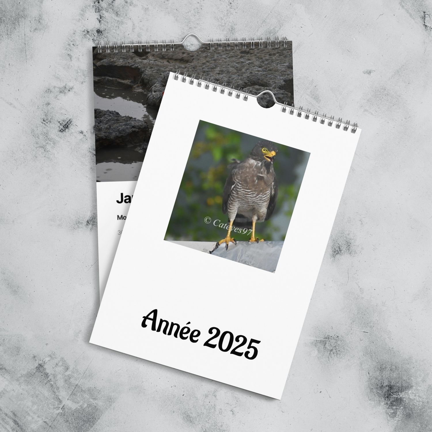 Calendrier mural (2025) - 00165