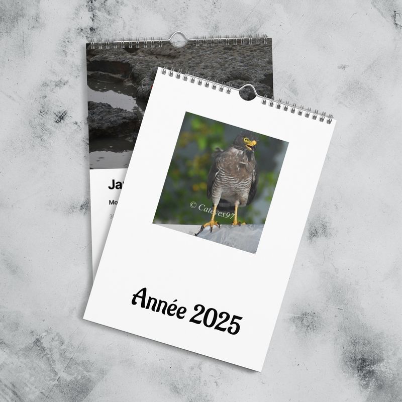 Calendrier mural (2025) - 00165