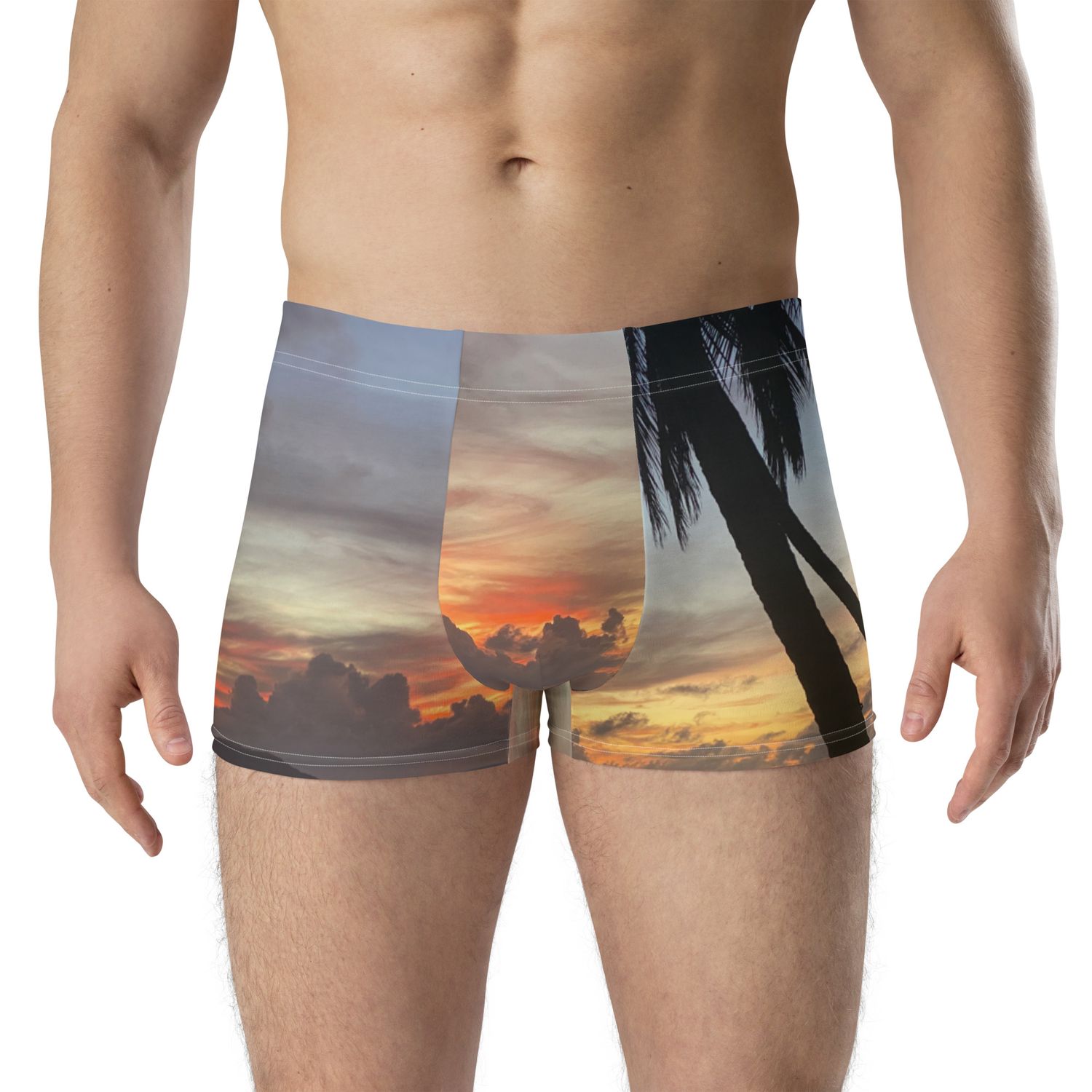 Boxer 00305