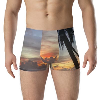 Boxer 00305