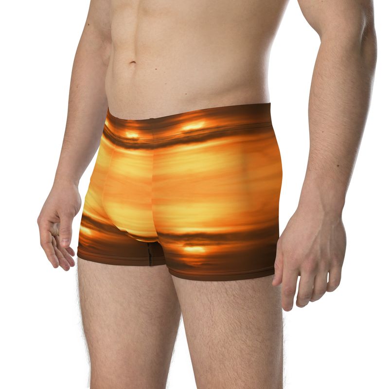 Boxer 00309