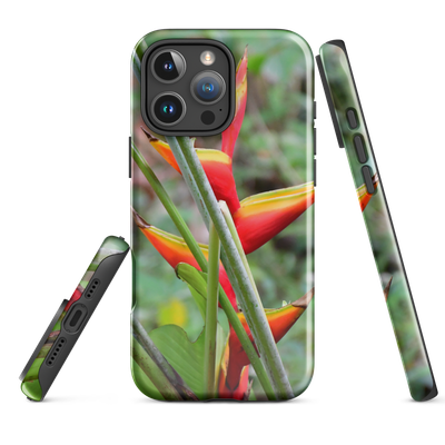 Accessoires