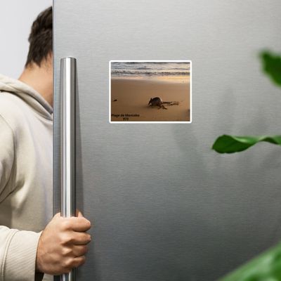 Magnet 00421 Magnet 00421