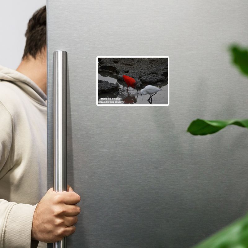 Magnet 00429 