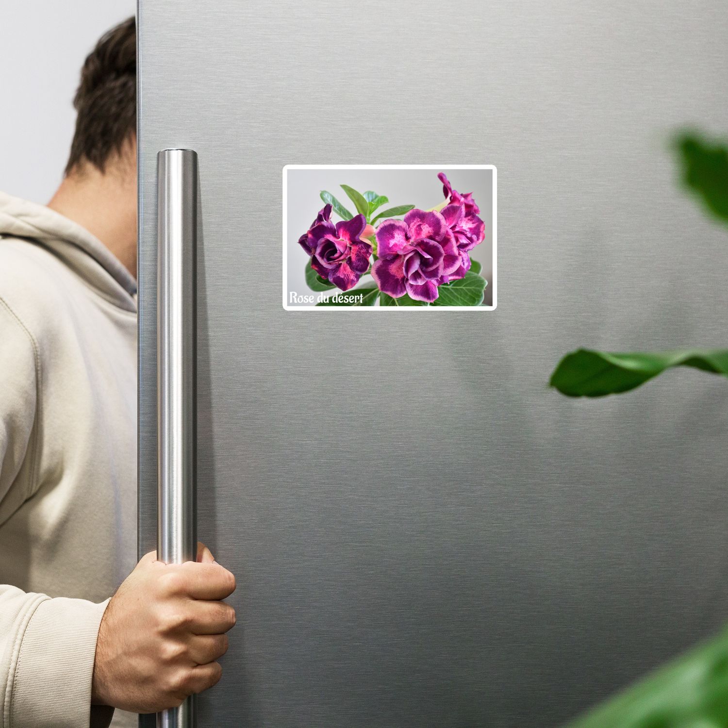 Magnet 00432 
