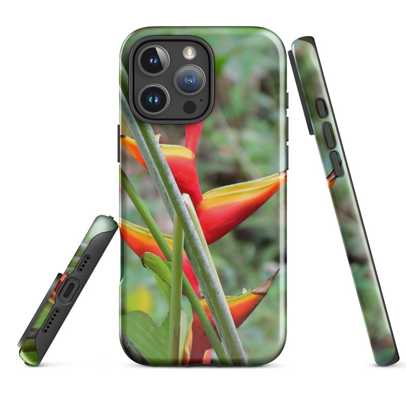 Coque d'iPhone rigide 00436