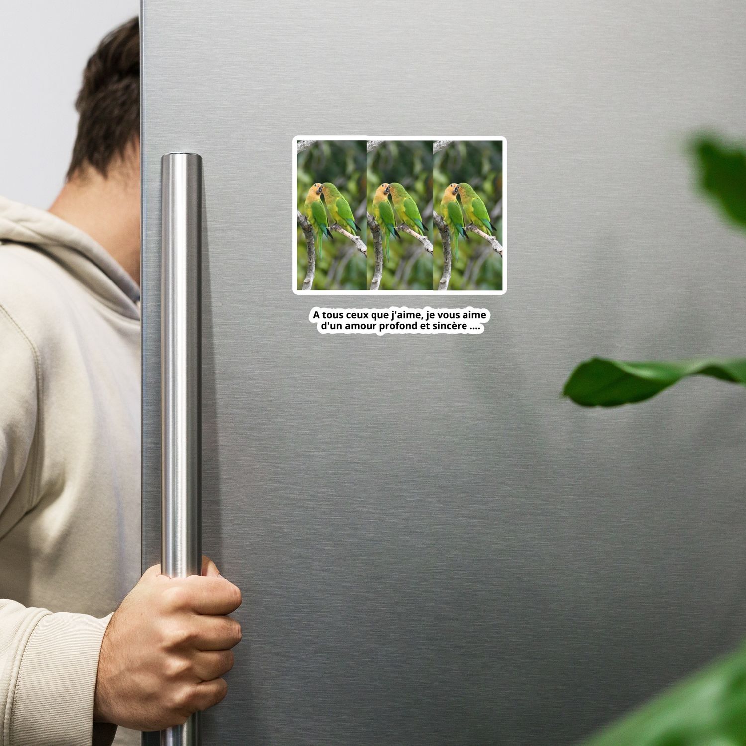 Magnet 00495