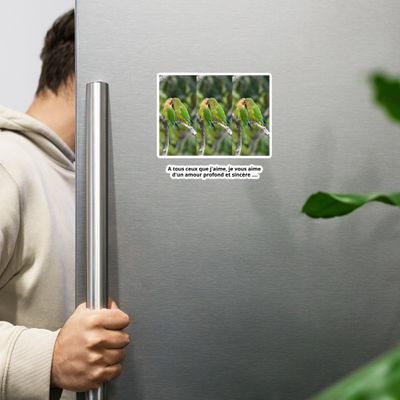 Magnet 00495