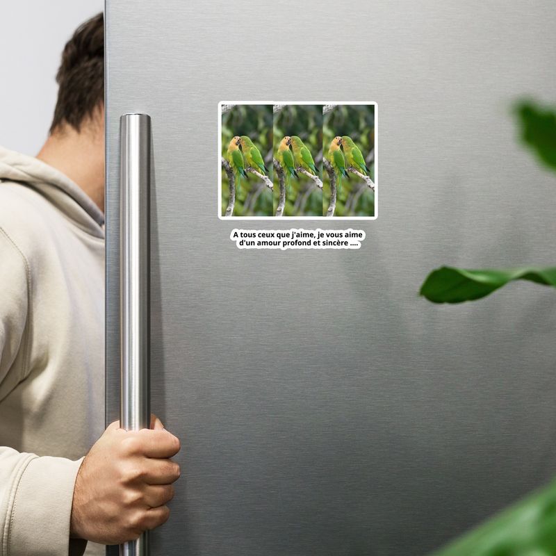 Magnet 00495