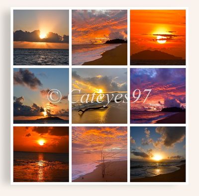 Paysage en feu - Toile carrée 50x50 avec 9 photos