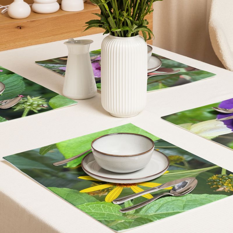 Sets de table 00725