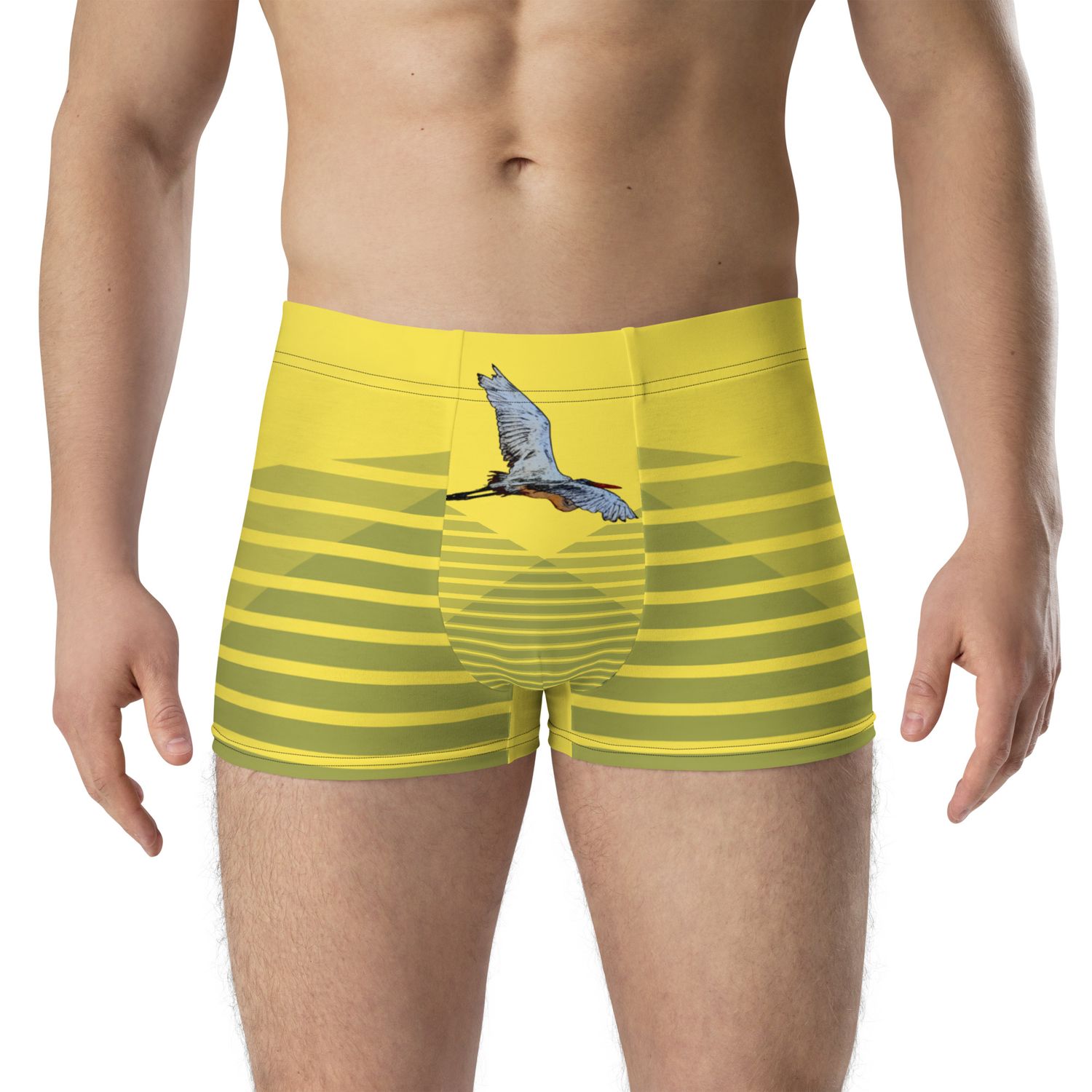 Boxer - 01102