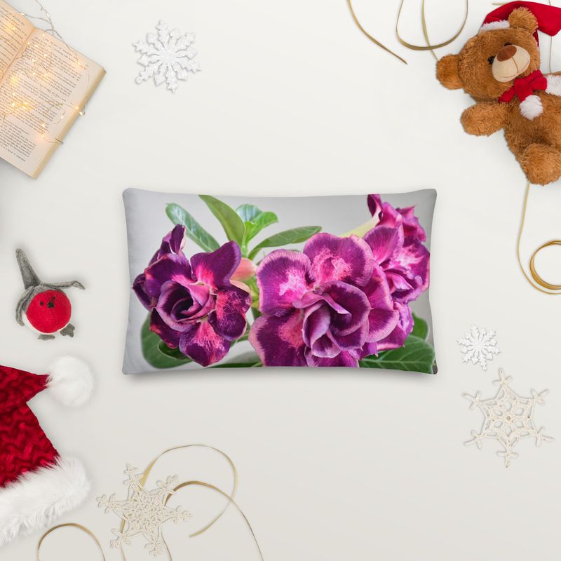 Coussin Haut de Gamme - 01218 Coussin Haut de Gamme - 01218