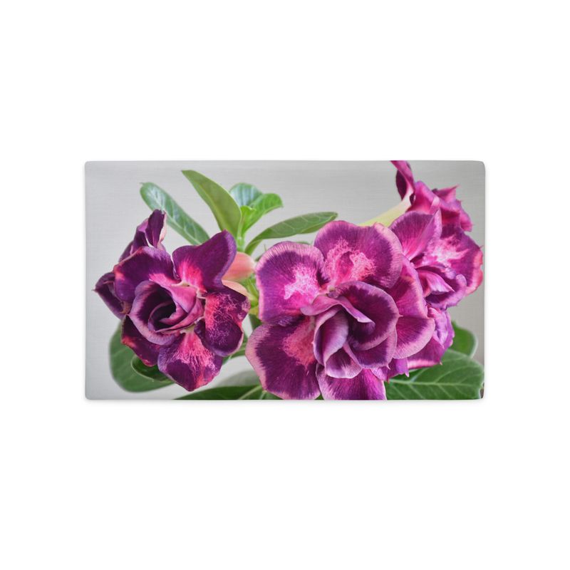 Housse de Coussin - 01221 Housse de Coussin - 01221