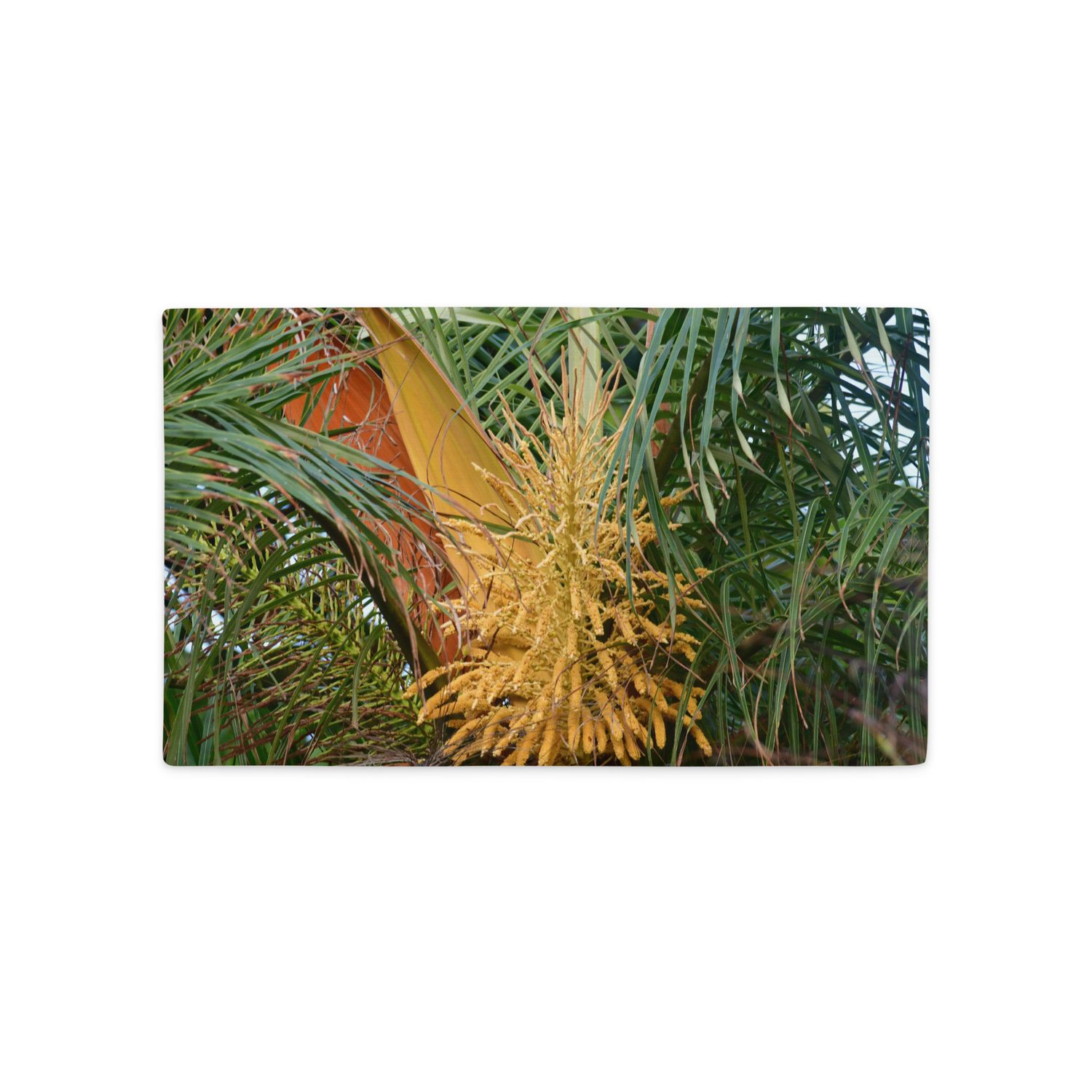 Housse de Coussin  - 01220