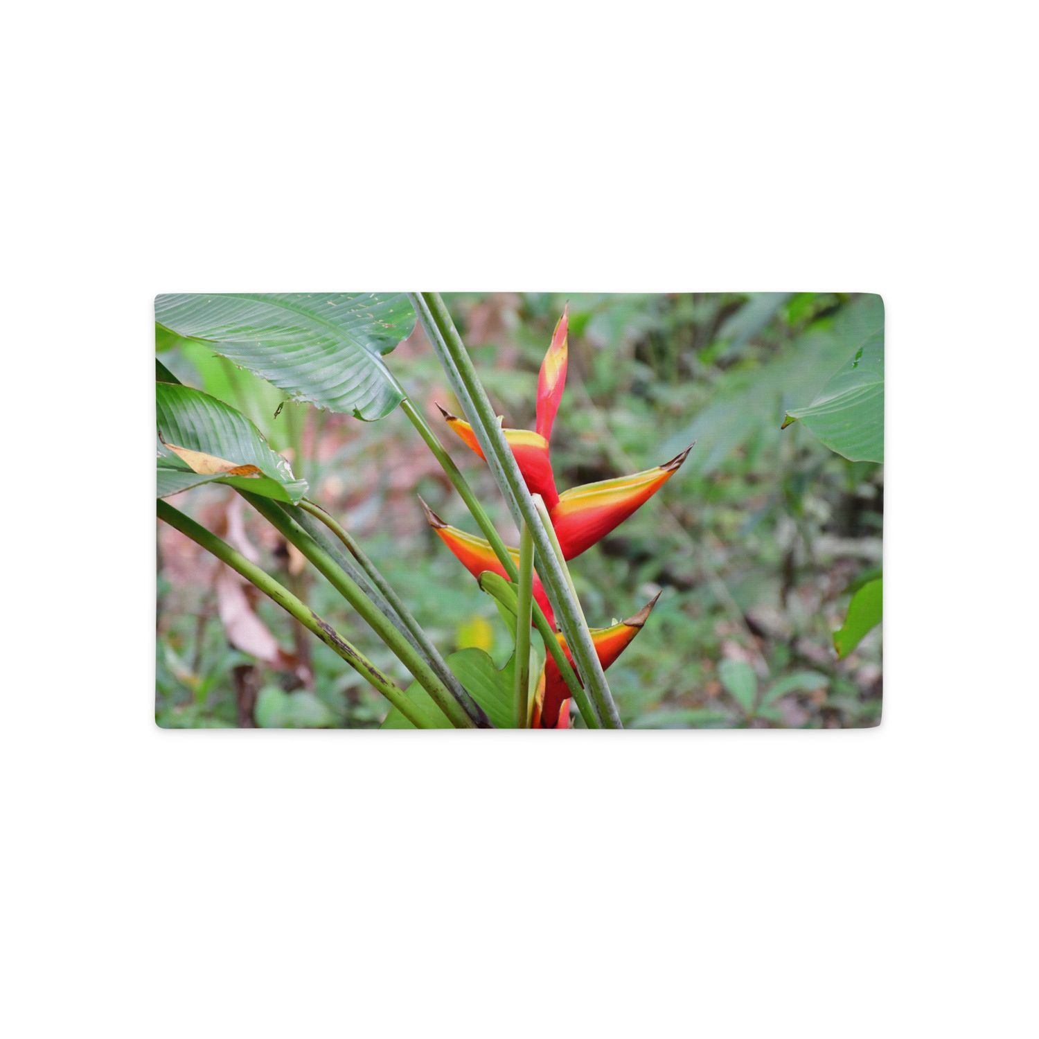 Housse de Coussin - 01222