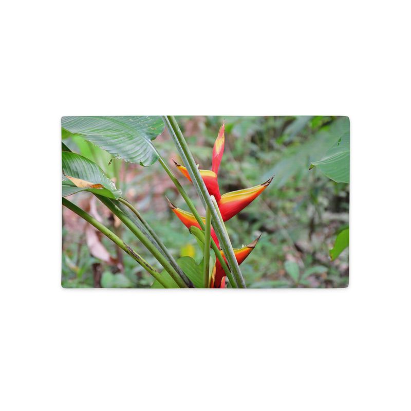 Housse de Coussin - 01222 Housse de Coussin - 01222