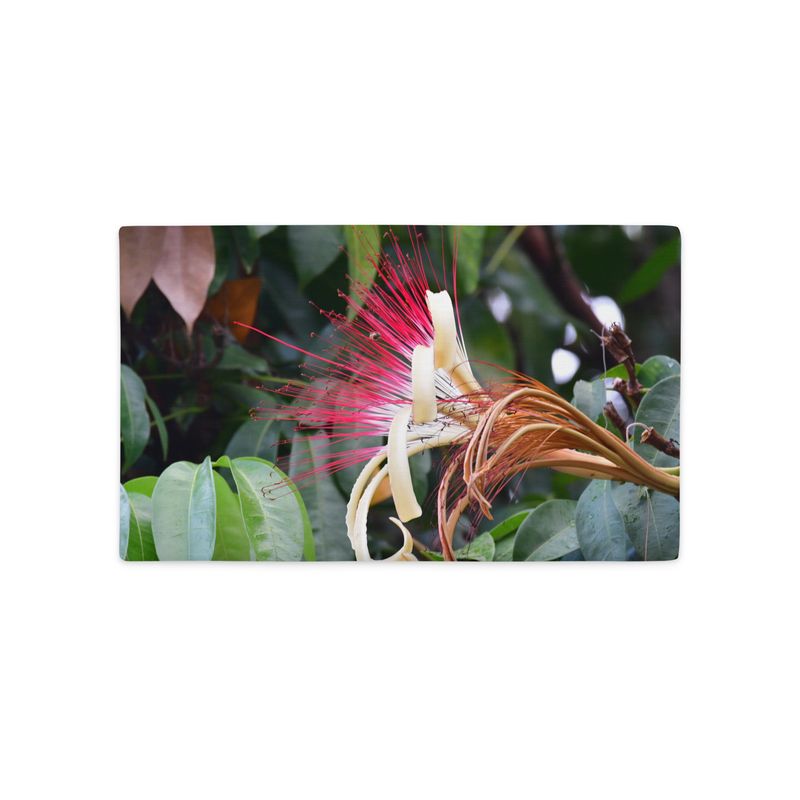 Housse de Coussin - 01223 Housse de Coussin - 01223