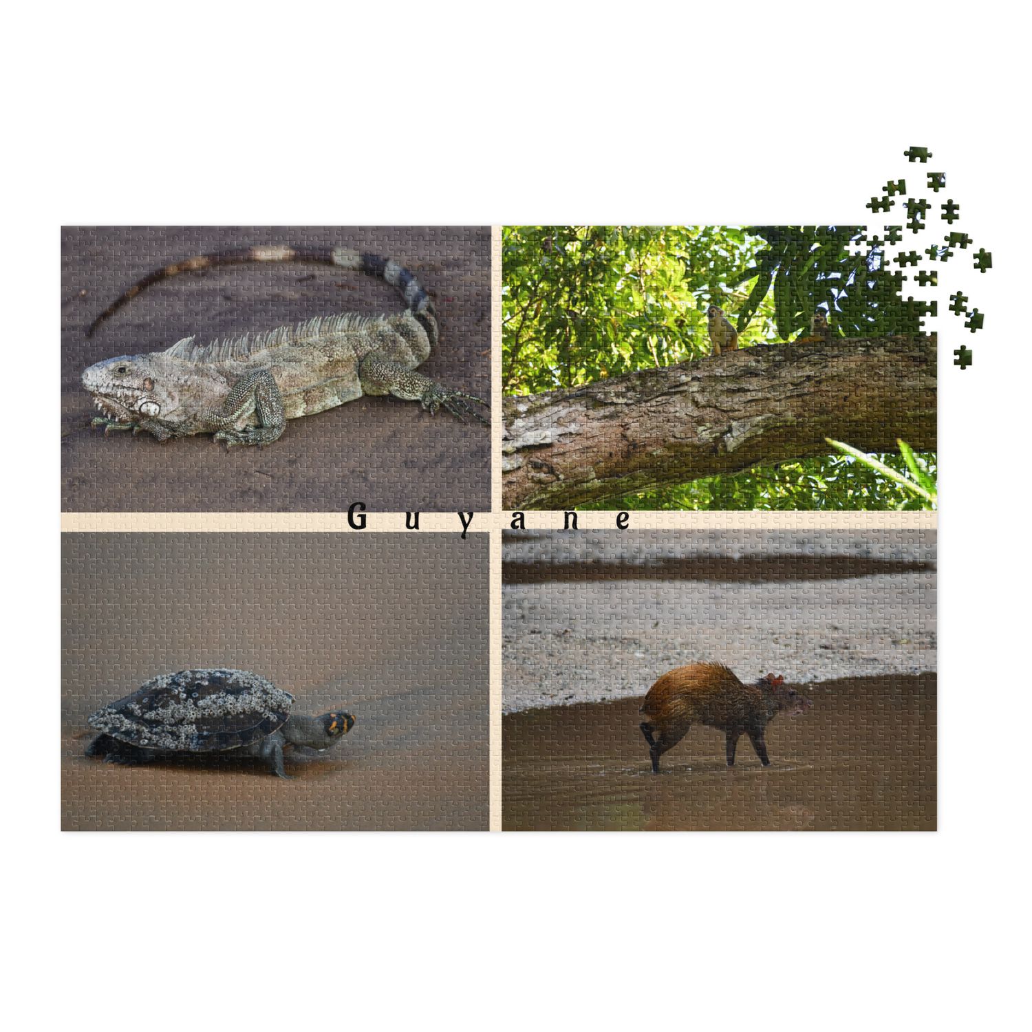 Puzzle et sa boîte en métal - 01238 Puzzle et sa boîte en métal - 01238