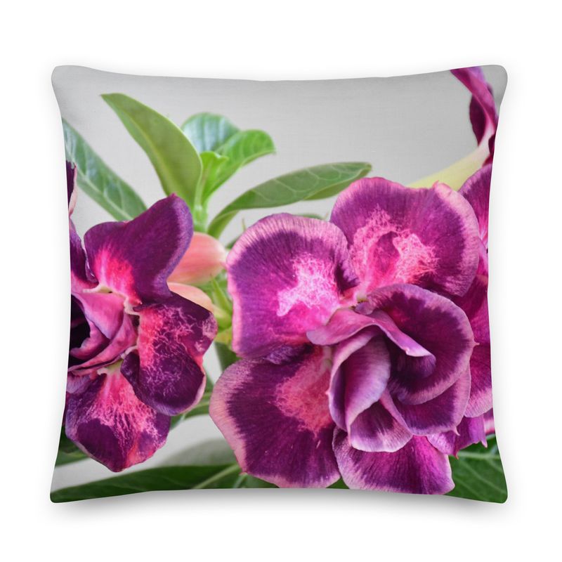 Coussin - 01253 Coussin - 01253