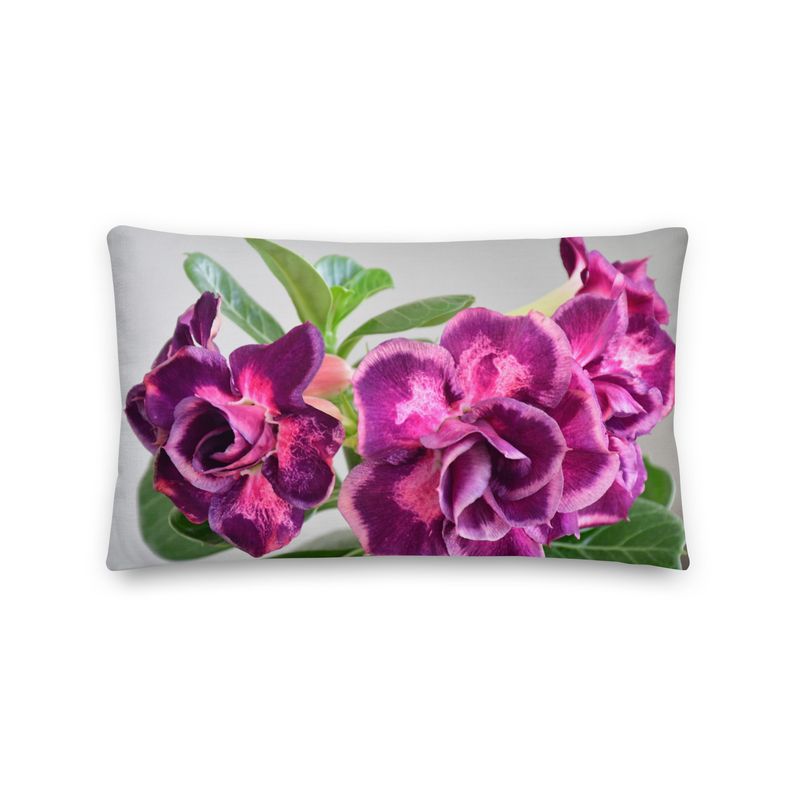 Coussin - 01253