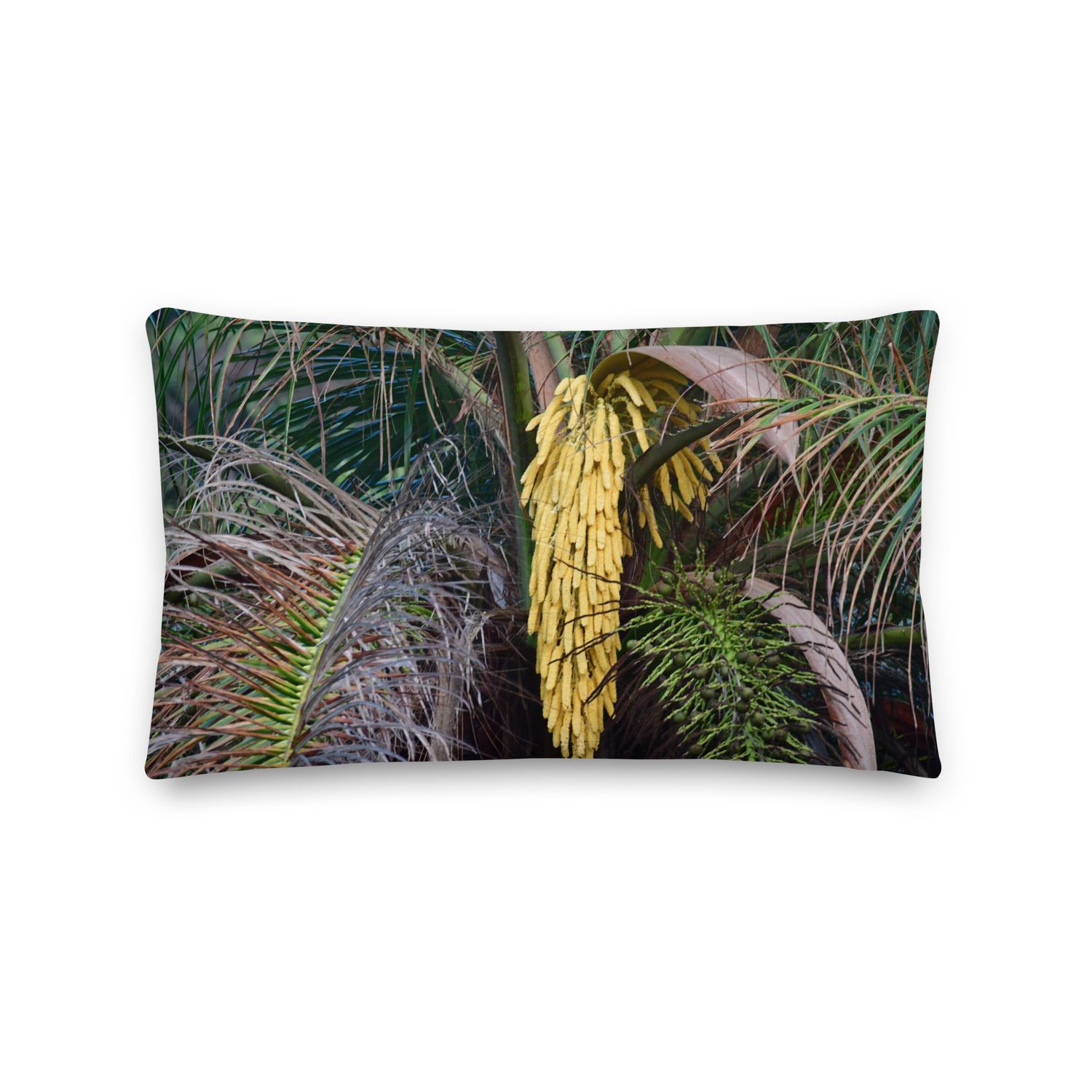 Coussin - 01254