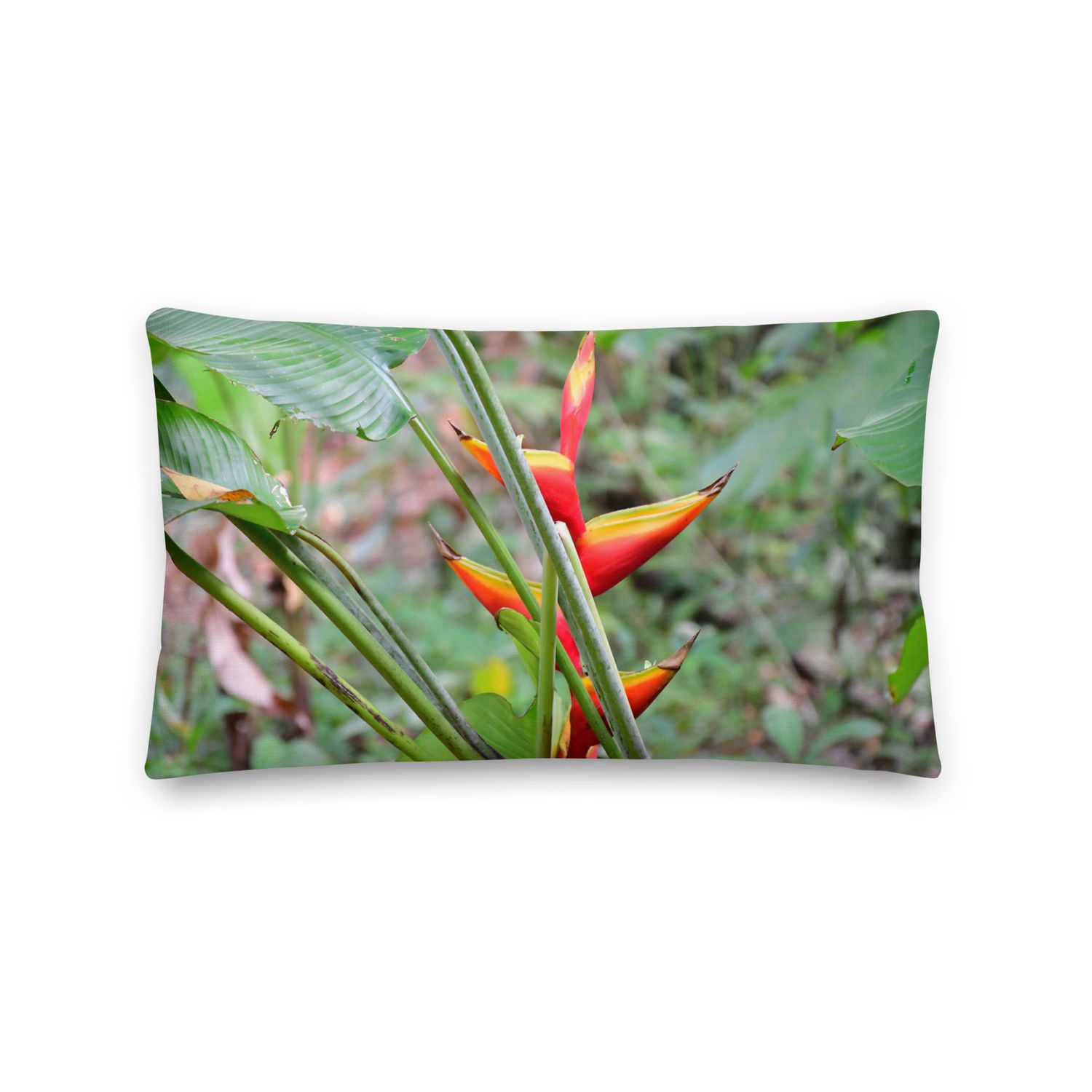 Coussin - 01255