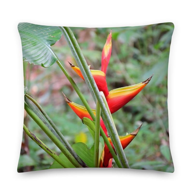 Coussin - 01255 Coussin - 01255