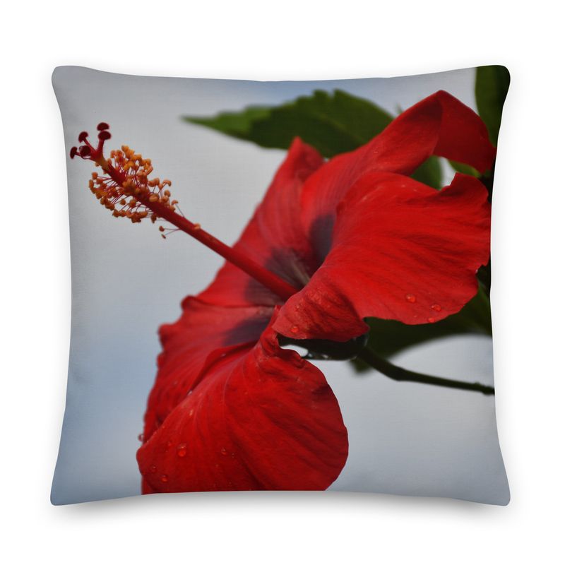Coussin - 01258 Coussin - 01258